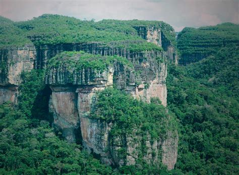 Nuevas Reas Del Parque Nacional Natural Chiribiquete