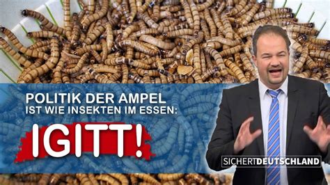 Insekten Im Essen Igitt Martin Sichert Schockt Den Bundestag YouTube