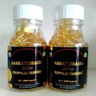 Jual Original Habbatussauda Extra Propolis Trigona Kapsul Ums