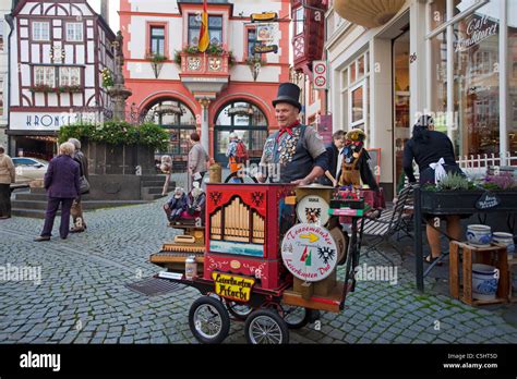 Hurdy Gurdy Player Barrel Organ Street Musican Market Square Market