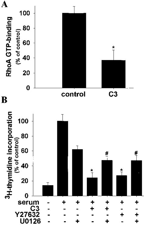 Inactivation Of RhoA Rho Kinase And Inhibition Of SMC Proliferation A