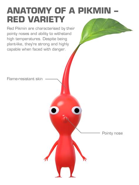 Discover The World Of Pikmin News Nintendo