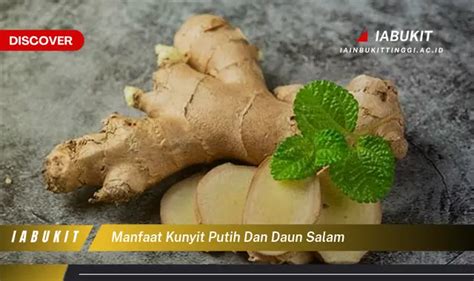 Jarang Diketahui Ini 20 Manfaat Kunyit Putih Dan Daun Salam Yang Bikin