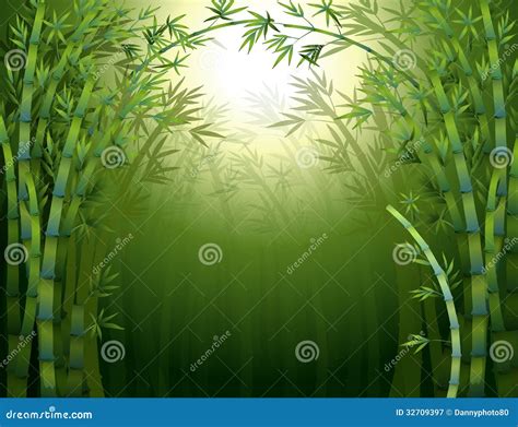 A Dark Bamboo Forest Stock Vector Illustration Of Screensaver 32709397