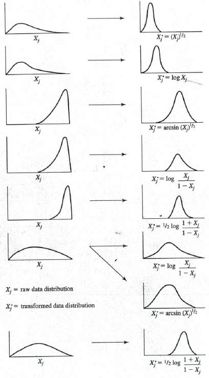 數據分佈轉換的基本概念 陶塾醫品秘笈