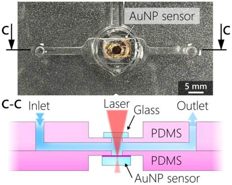 Chemosensors Free Full Text Three Generations Of Surface