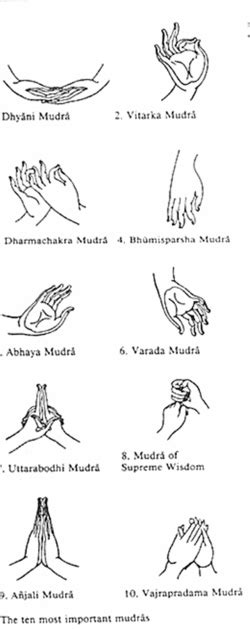 Meditation: Meditation Hand Signs