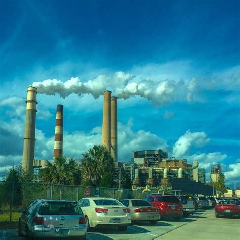 Manatee Viewing Center - Apollo Beach Florida - Our Roaming Hearts