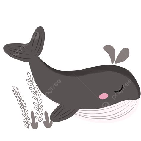 Vector Gray Whale Swimming In The Sea Gray Whale Whale Couple Whale