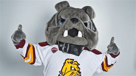 Gray Again: UMD announces return to previous Champ mascot after ...