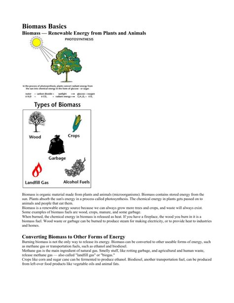 Biomass Basics Woodcliff Lake