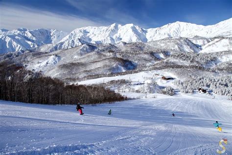 「白馬エリア」のおすすめスキー場ランキング！レベルに合わせてご紹介 Skima信州 長野県の観光ローカルメディア