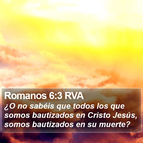 Romanos Rva O No Sab Is Que Todos Los Que Somos Bautizados