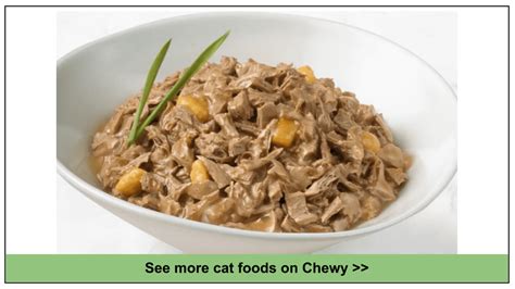 10 Best Chewy Cat Foods 2024: Expert Top Picks