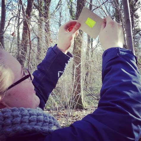 Forest School Level 1 Award In Outdoor Learning — Cambium Sustainable