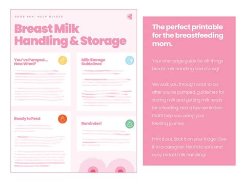 Breast Milk Handling And Storage Guidelines Printable Help Etsy