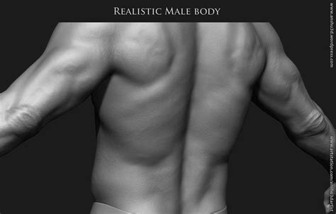 Realistic Human Male Body D Model By Anshu Dartist