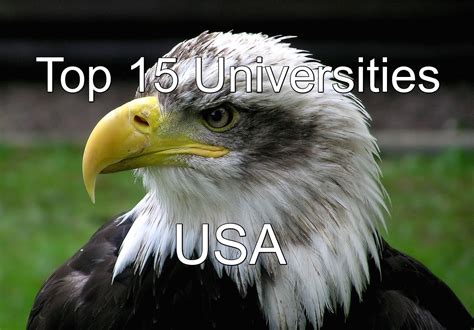 Top 15 Best Universities In USA 2022-2023