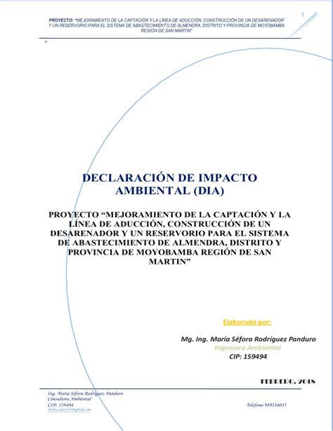 1 DECLARACION DE IMPACTO AMBIENTAL R2