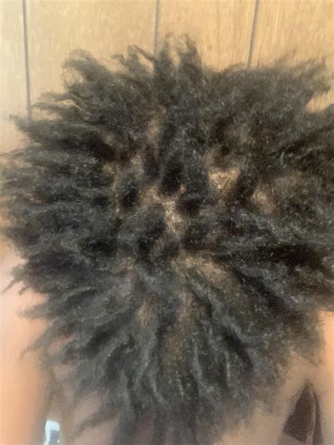 2 months free form dreads with a sponge how im looking also just