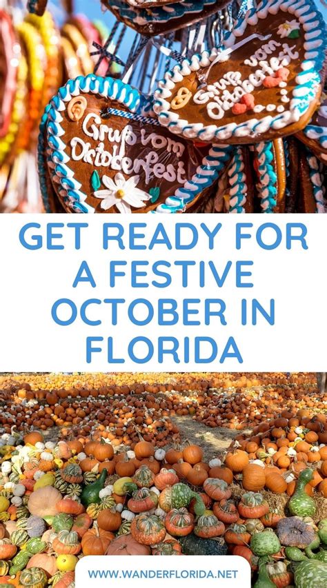 97+ Ultimate October Festivals In Florida To Savor, Spook, And Celebrate