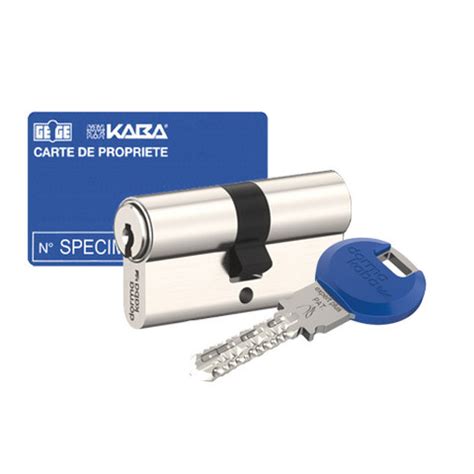 Cylindre Monobloc Kaba Expert Compatible Fichet