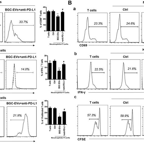 Neutrophils Activated By Gastric Cancer Gc Derived Extracellular