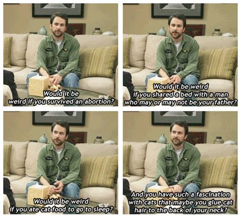 Charlie Kelly Cat Enthusiast Its Always Sunny In Philadelphia