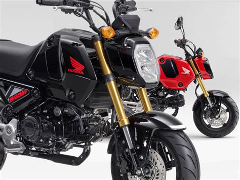 2024 Honda Grom First Look Preview Motorcyclist