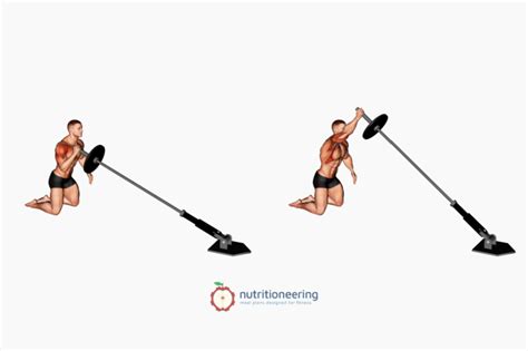 9 Best Landmine Shoulder Exercises With Pictures Nutritioneering