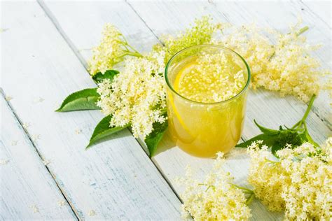 Leckere Rezepte Mit Holunderbl Tensirup