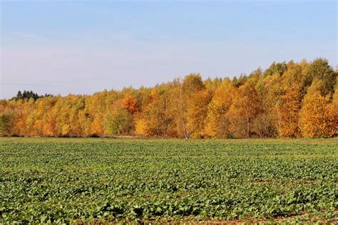 Difference Between Rabi And Kharif Crops Knowfromguru