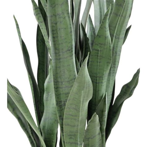 Plante Artificielle Sansevieria