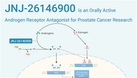 Jnj 26146900 Is An Orally Active Androgen Receptor Antagonist For Prostate Cancer Research