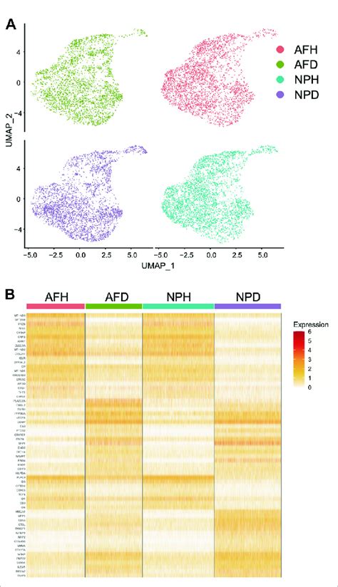 Single Cell Transcriptome Analysis A Single Cell Clustering In The