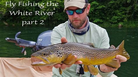 Trout Fishing In Arkansas Laderalter