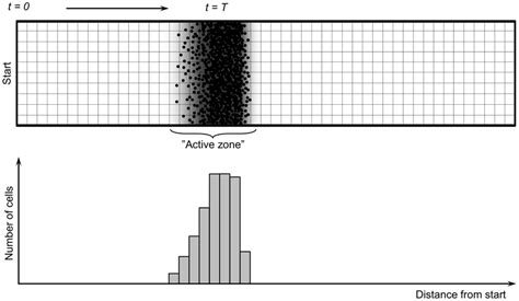 Principle of the dendrit growth model [31], [32]. The dendrite is ...