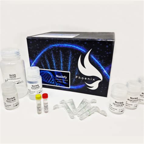 Dna Rna Isolation Procomcure Biotech