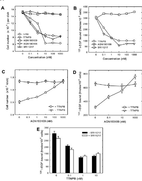 Figure From Retinoids Suppress Epidermal Growth Factor Associated