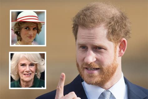 Prince Harry Avenges His Mother by Exposing Camilla's Alleged Schemes