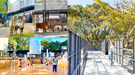 2024壽山動物園暑假優惠、活動總整理！12歲以下免費入園、600元優惠聯票食尚玩家