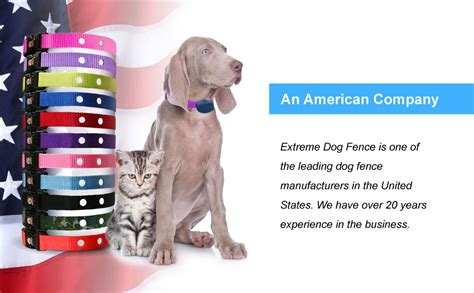 Amazon.com : Heavy Duty Nylon Replacement Dog Collar Strap - Compatible with Nearly All Brands ...