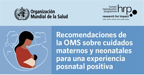 Recomendaciones De La Oms Sobre Cuidados Maternos Y Neonatales Para Una