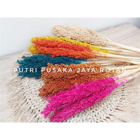 Jual Bunga Kering Aesthetic Bunga Gandum Kering Shopee Indonesia