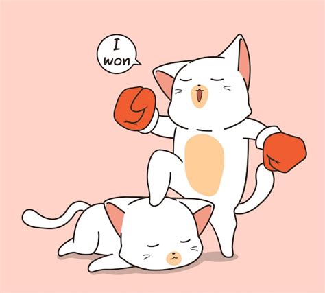 Premium Vector | Kawaii boxing cat character