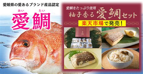 Jfえひめの魚と真珠愛媛県漁業協同組合