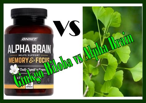 Ginkgo Biloba Vs Alpha Brain What To Choose And Why Valentino S