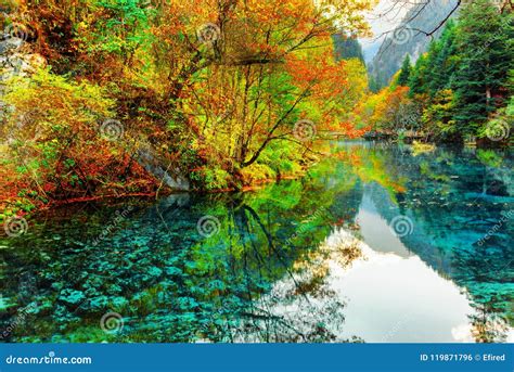 The Five Flower Lake. Colorful Autumn Forest Reflected in Water Stock ...