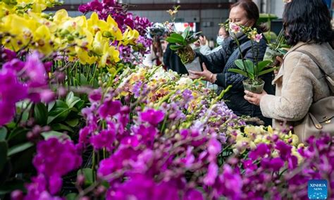 Kunming Dounan Flower Market Largest Fresh Cut Flower Trading Market In Asia Global Times