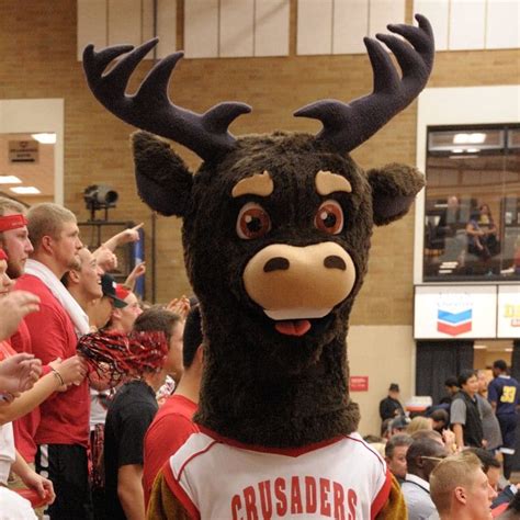 Howard the Elk | Mascot Hall of Fame